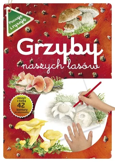 Poznaję i rysuję. Grzyby naszych lasów