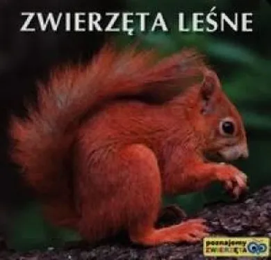 Poznajemy zwierzęta. Zwierzęta leśne