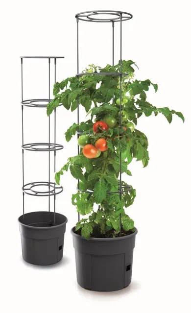 Prosperplast, doniczka do sadzenia pomidorów z drabinką, 28l