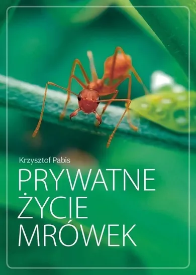 Prywatne życie mrówek