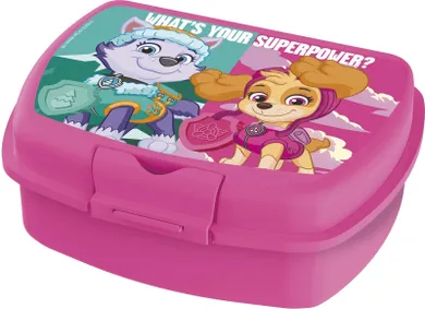 Psi Patrol, lunchbox, Girl Superpowers