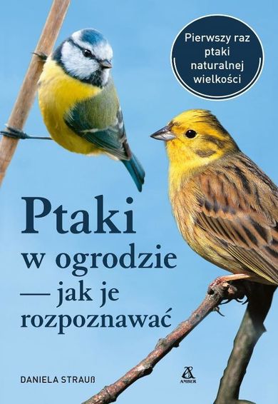 Ptaki w ogrodzie - jak je rozpoznawać