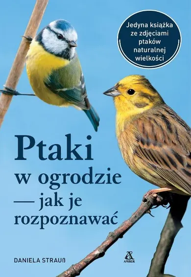 Ptaki w ogrodzie — jak je rozpoznawać