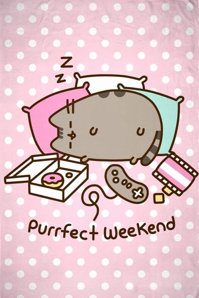 Pusheen, koc polarowy, 130-170cm