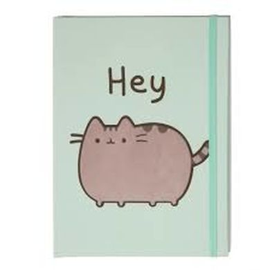 Pusheen, notes / zeszyt z gumką, zielony