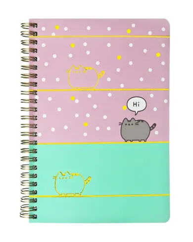 Pusheen, notes A5, w linie