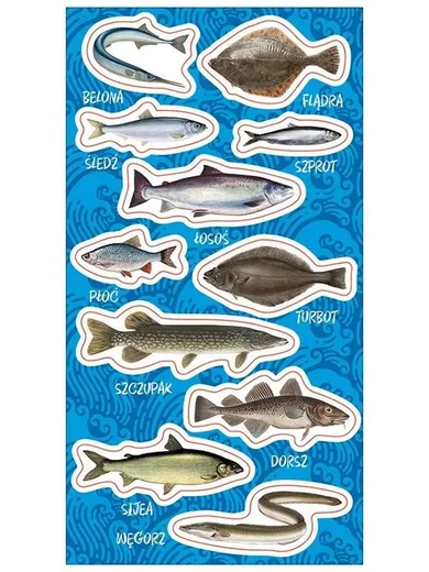Ranok Creative, naklejki, Ryby bałtyckie