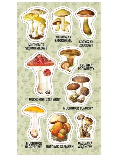 Ranok Creative, naklejki, Trujące grzyby