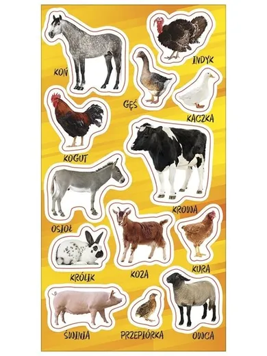 Ranok Creative, naklejki, Zwierzęta domowe