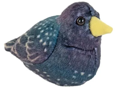 Ranok-Creative, Szpak, maskotka z dźwiękiem