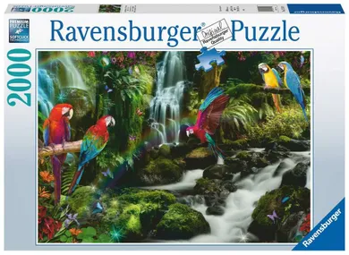 Ravensburger, Papugi w dżungli, puzzle, 2000 elementów