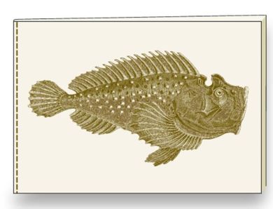 Rossi, notatnik ozdobny, A5, 1 szt.