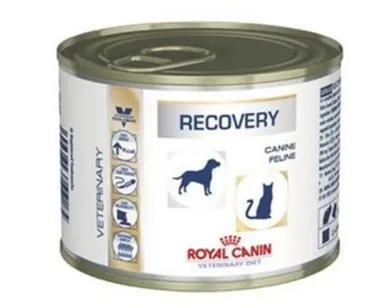Royal Canin, Recovery, Canine, Feline, karma dla psów i kotów po zabiegach chirurgicznych, 195g
,