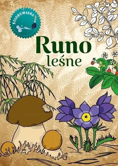 Runo leśne. Kolorowanka