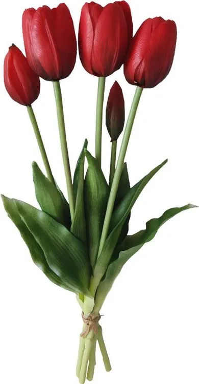 Saska Garden, bukiet 5 tulipanów czerwonych, 40 cm