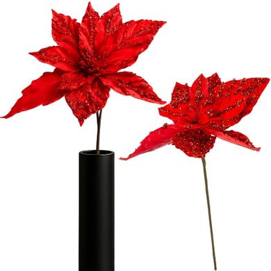 Saska Gift, gwiazda betlejemska, 30 cm