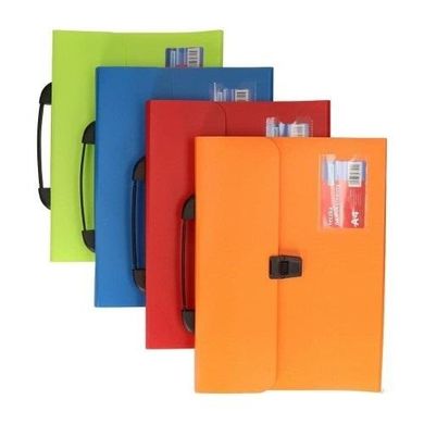 Schemat, teczka z przegródkami, A4, 1 szt.