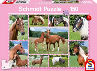 Schmidt, Konie, puzzle, 150 elementów