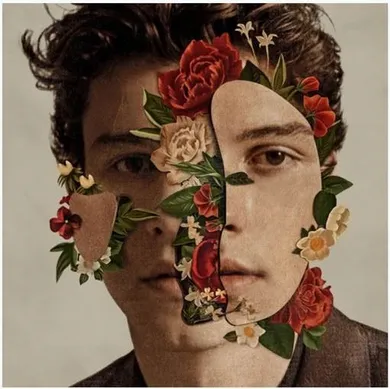 Shawn Mendes (PL). CD