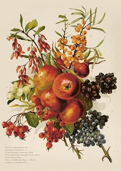 Skona Ting, karnet B6 z kopertą, Jesienny bukiet