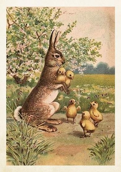 Skona Ting, karnet B6 z kopertą, Królik, Wielkanoc