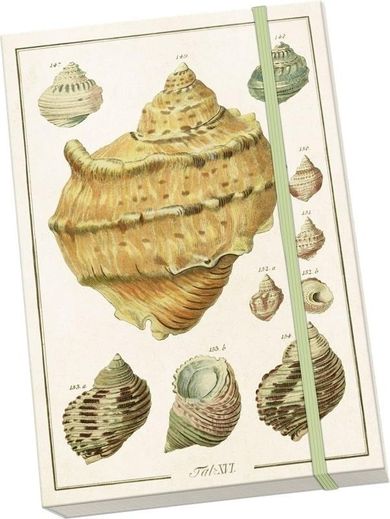 Skona Ting, Muszle, notatnik ozdobny A5, 1 szt.