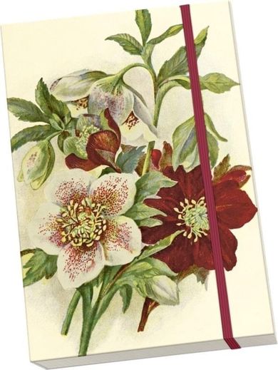 Skona Ting, notatnik, A5, Ciemiernik