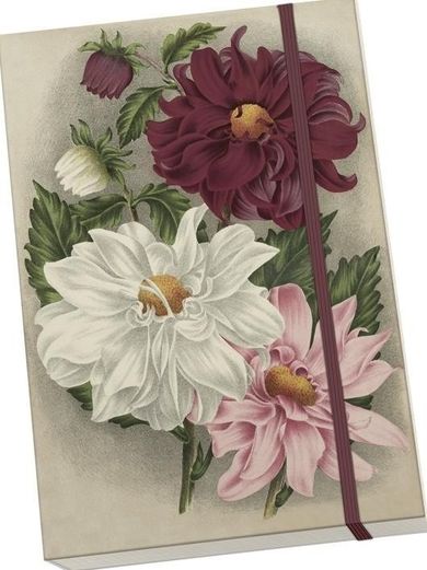 Skona Ting, notatnik ozdobny, A5, dalia fioletowa, 1 szt.