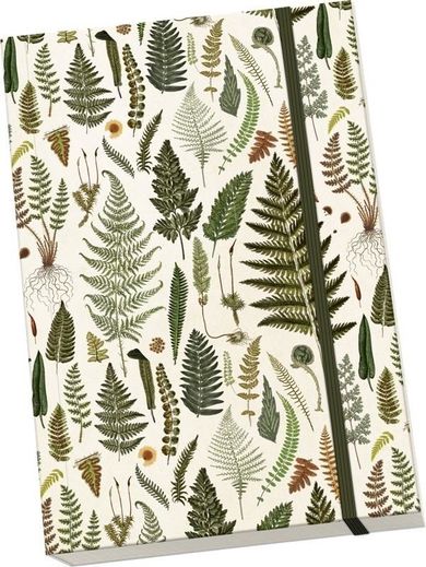 Skona Ting, Paprotki, notatnik ozdobny A5, 1 szt.