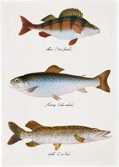 Skona Ting, ręcznik kuchenny, ryby