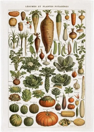 Skona Ting, ręcznik kuchenny, warzywa