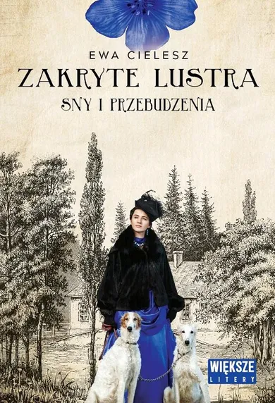 Sny i przebudzenia. Zakryte lustra. Tom 1 (duże litery)