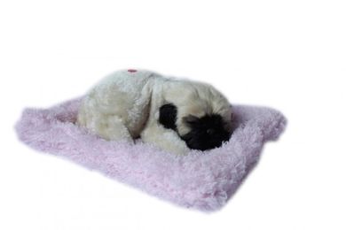 Śpiący piesek na poduszce, Mops, maskotka