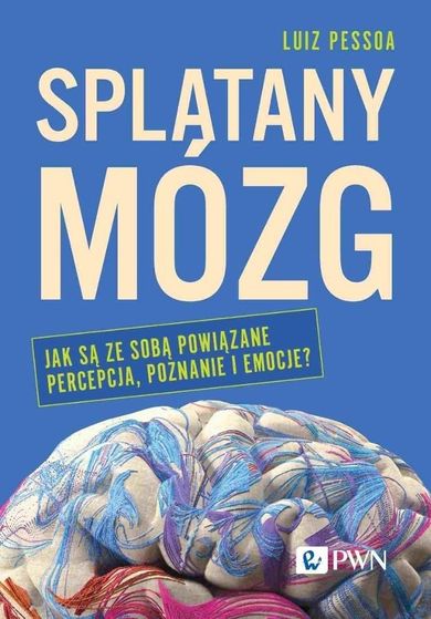 Splątany mózg. Jak są ze sobą powiązane percepcja.