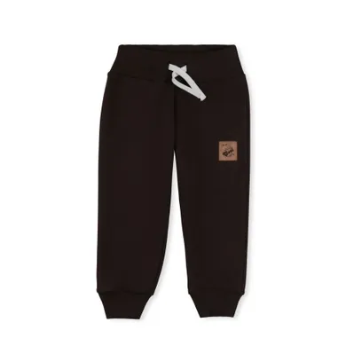 Spodnie dresowe chłopięce, brązowe, Tup Tup