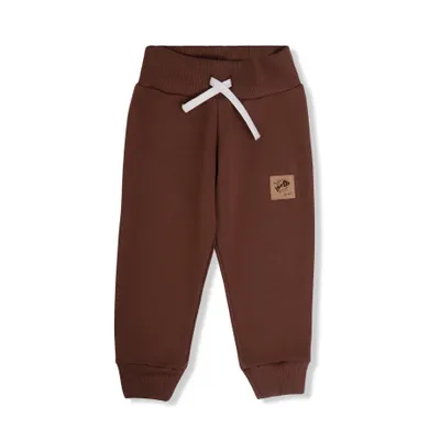 Spodnie dresowe chłopięce, brązowe, Tup Tup