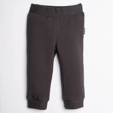 Spodnie dresowe chłopięce, grafitowe, Nicol
