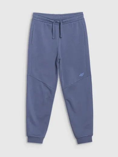 Spodnie dresowe chłopięce, jogger, niebieskie, 4F