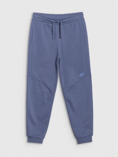 Spodnie dresowe chłopięce, jogger, niebieskie, 4F