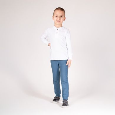 Spodnie dresowe chłopięcie, niebieskie, Nicol