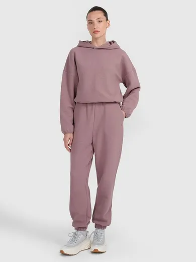 Spodnie dresowe damskie, brązowe, 4F