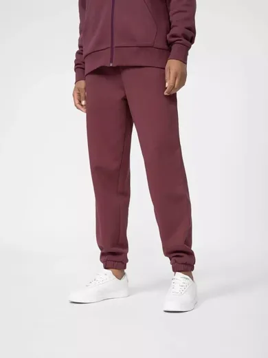 Spodnie dresowe damskie, fioletowe, 4F