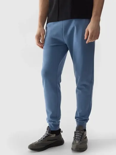 Spodnie dresowe męskie, niebieskie, 4F
