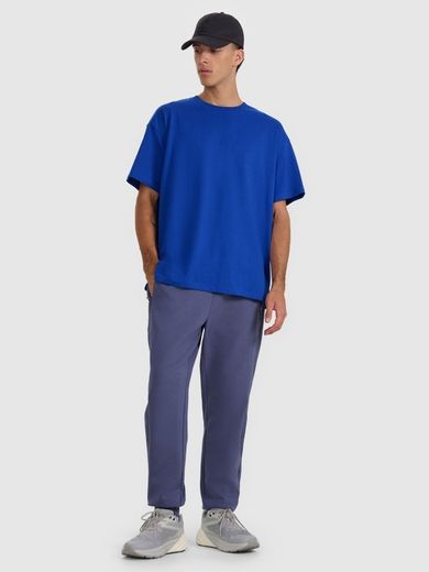 Spodnie dresowe męskie, niebieskie, 4F