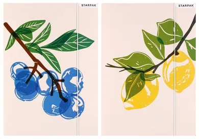 Starpak, teczka z gumką, A4, Fruits, 1 szt.