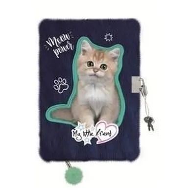 St.Majewski, pamiętnik z kłódką, A5, 96 kartek, kitty party