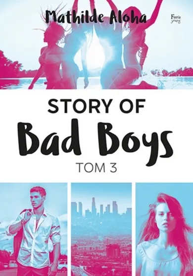 Story of Bad Boys. Tom 3