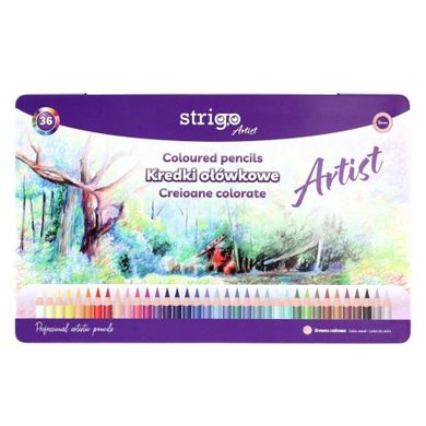 Strigo, Artist, kredki ołówkowe okrągłe, 36 kolorów