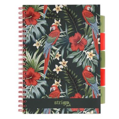 Strigo, Pads, kołozeszyt A4, 100 kartek, kratka, Tropiki, Papuga, 1 szt.