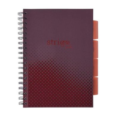 Strigo, Pads, kołozeszyt B5, 100 kartek, kratka, Basic, bordowy, 1 szt.